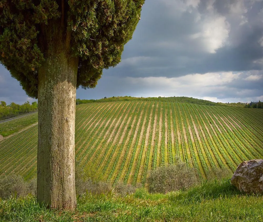 Alloggio per agriturismo Villa Querceto Di Castellina Castellina in Chianti